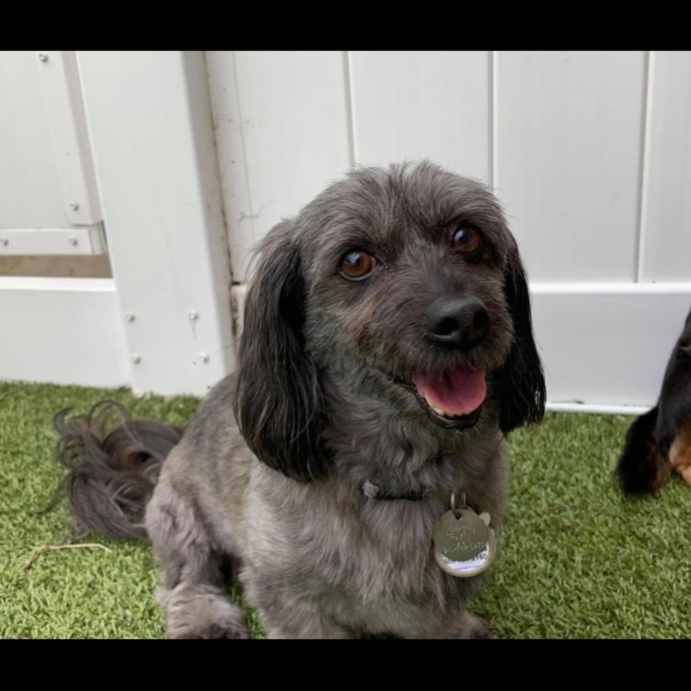 Meet your Posher, Tracy